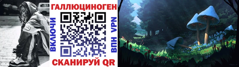Галлюциногенные грибы Psilocybine cubensis  Дегтярск 